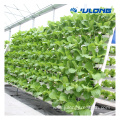 Agriculture dwc vertical PVC hydroponic growing systems